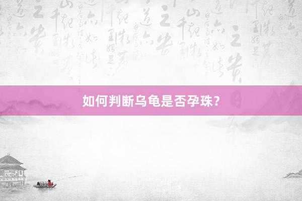 如何判断乌龟是否孕珠？